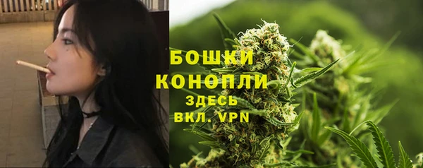 гидропоника Белоозёрский