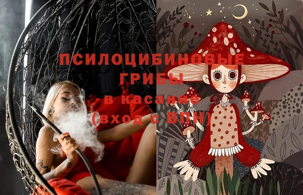 ПСИЛОЦИБИНОВЫЕ ГРИБЫ Богородицк