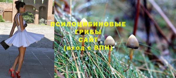 гидра Бородино