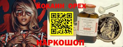 молекула духа Донской