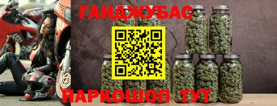 молекула духа Донской