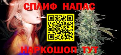 молекула духа Донской