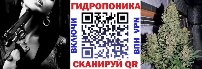 магазин    Великий Устюг  Каннабис OG Kush 